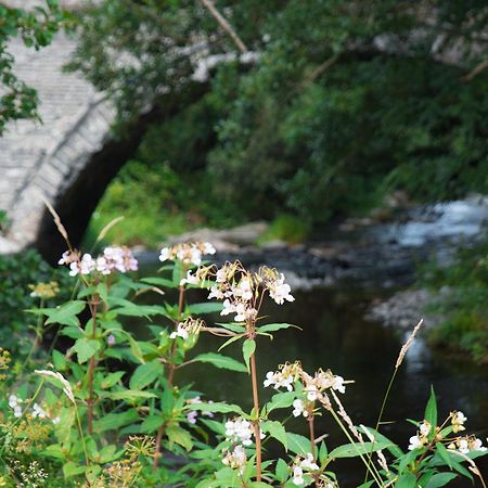 Dol Y Mynydd The Mountain Meadow-Qu7521 Villa Llangerniew Esterno foto