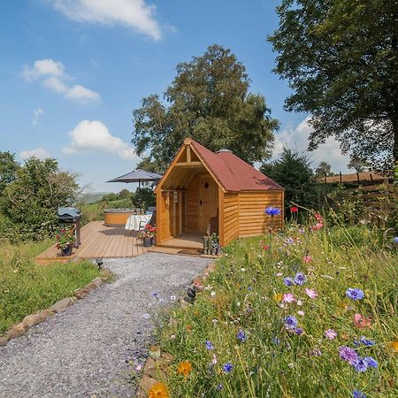 Dol Y Mynydd The Mountain Meadow-Qu7521 Villa Llangerniew Esterno foto