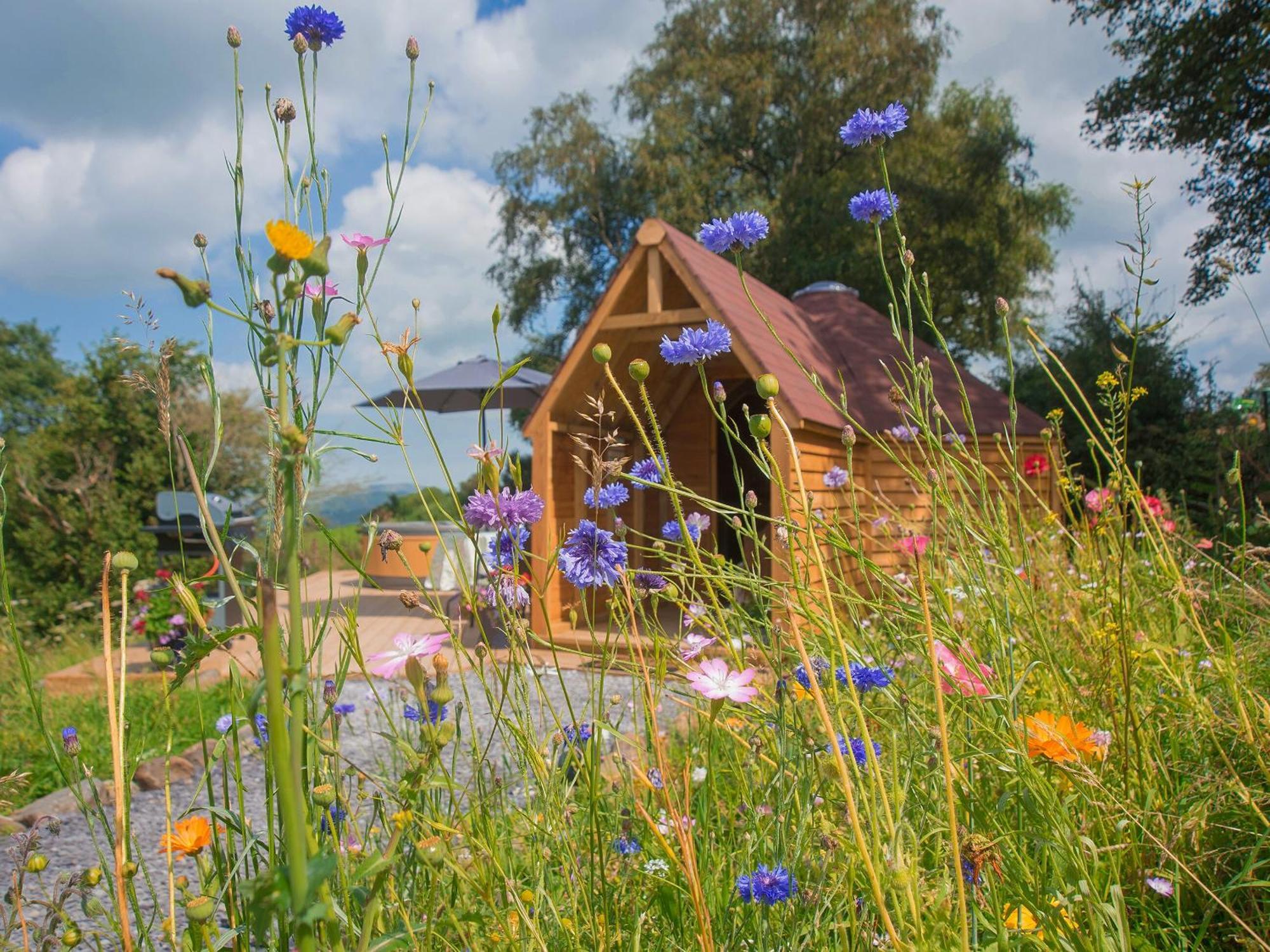 Dol Y Mynydd The Mountain Meadow-Qu7521 Villa Llangerniew Esterno foto