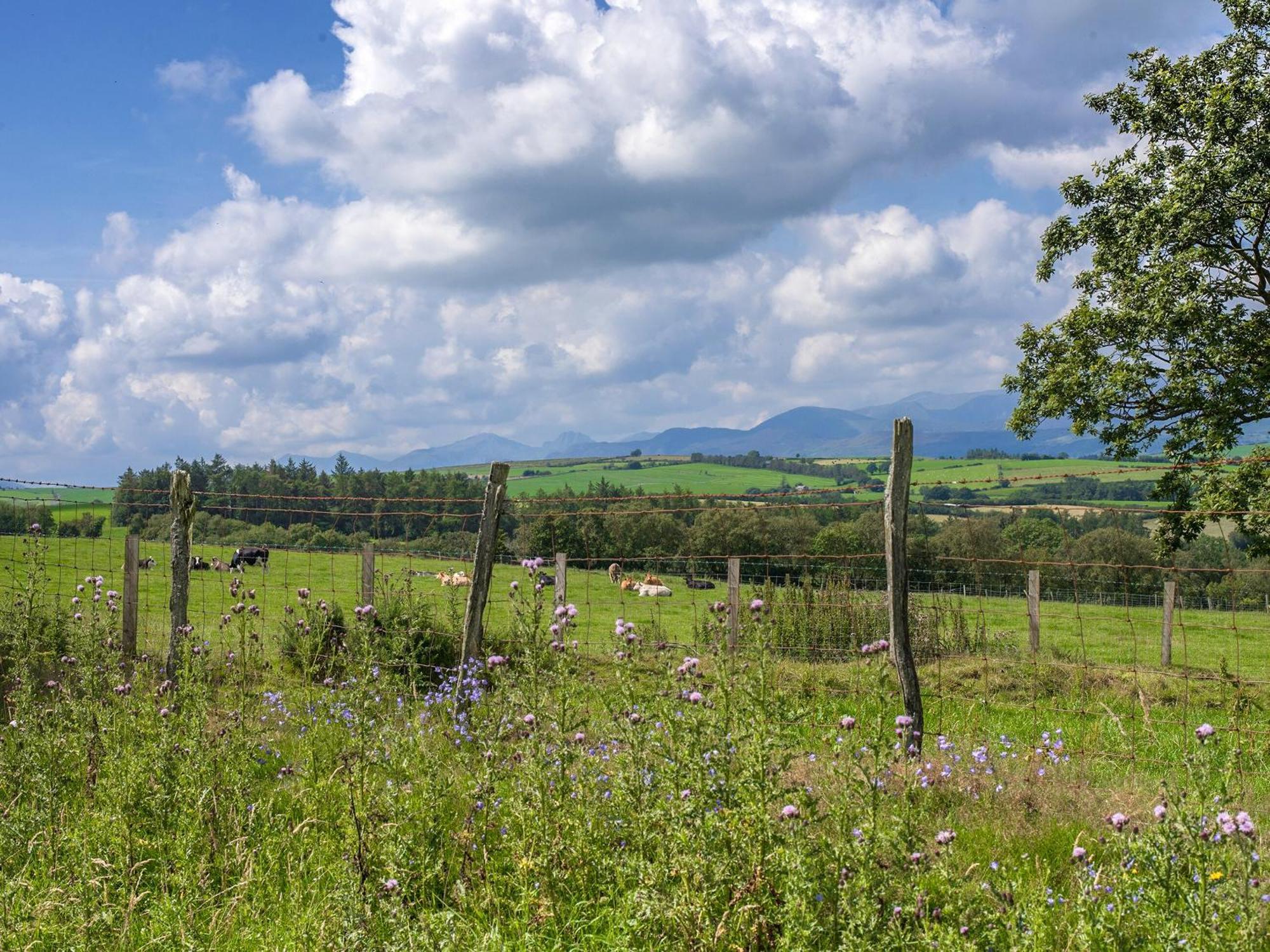 Dol Y Mynydd The Mountain Meadow-Qu7521 Villa Llangerniew Esterno foto