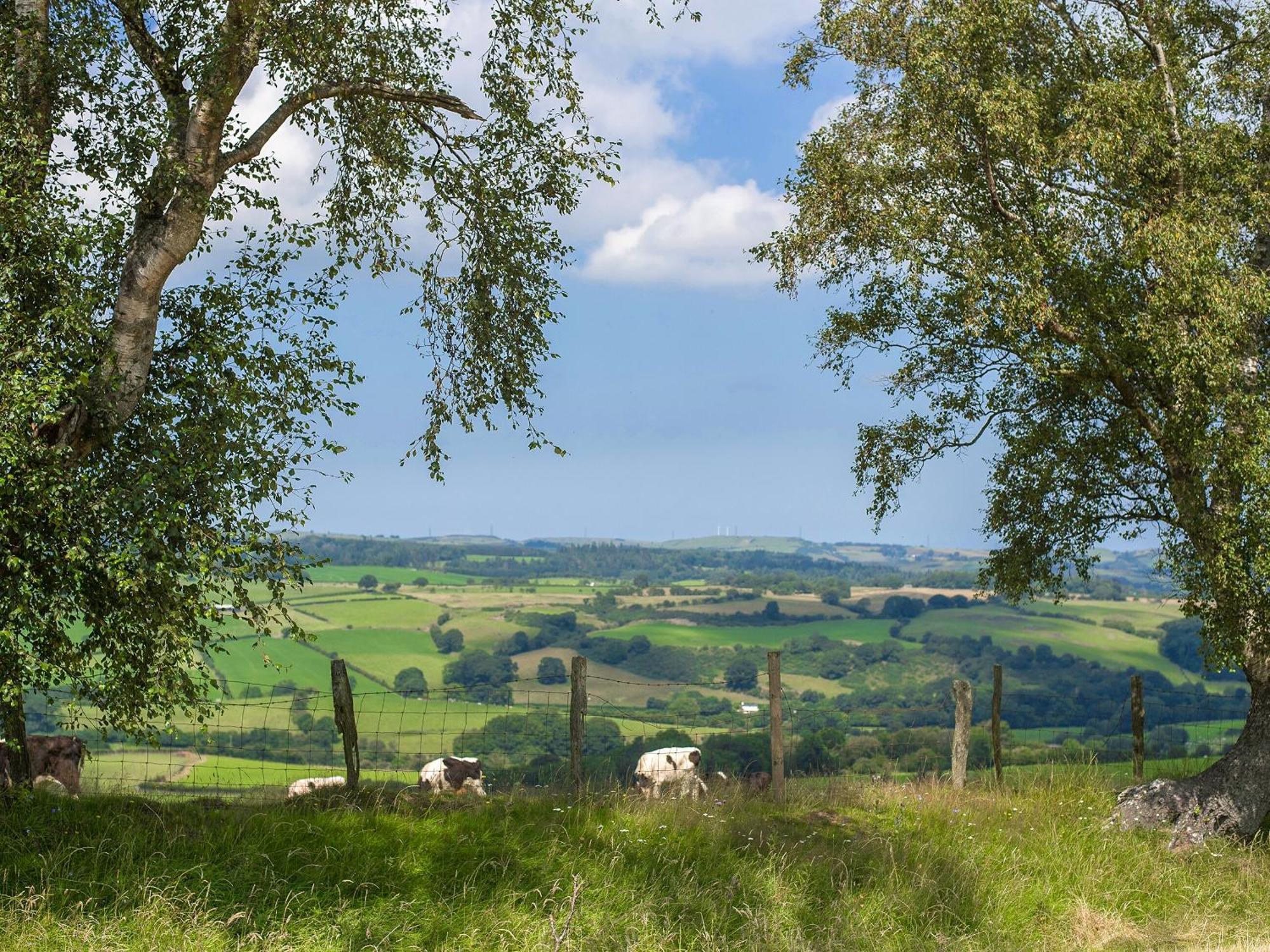 Dol Y Mynydd The Mountain Meadow-Qu7521 Villa Llangerniew Esterno foto