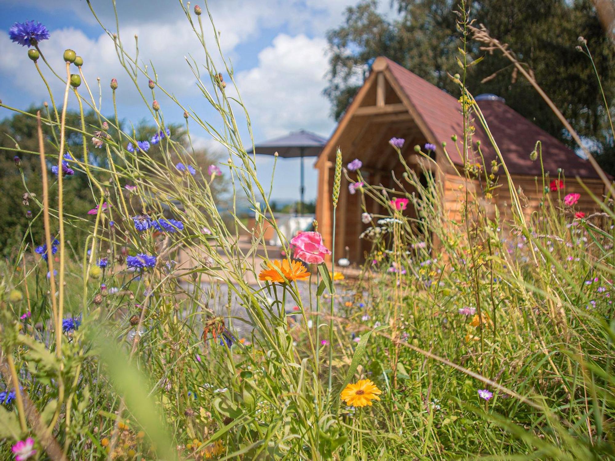 Villa Dol Y Mynydd The Mountain Meadow-Qu7521 Llangerniew Esterno foto